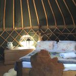 Surrey Hills Accommodation - Surrey Hills Yurts